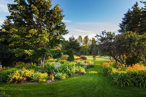 A freshly laid green lawn