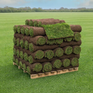 Signature Turf